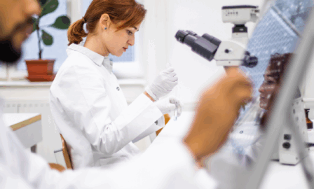 Exploring Veeva Vault Basics for Biotech Companies